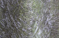 Balgowan fibreglass roof work